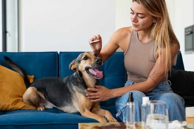 Dog medicine fluoxetine