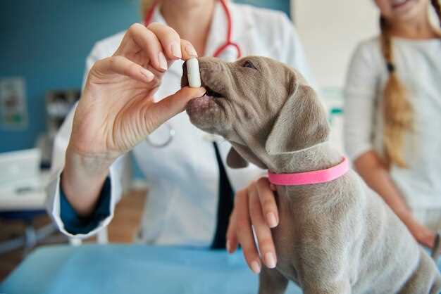 Generic fluoxetine for dogs