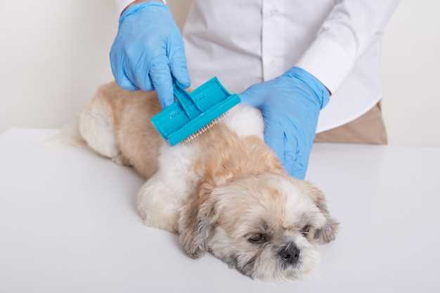 Use of fluoxetine in dogs